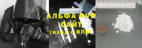 ГАЛЛЮЦИНОГЕННЫЕ ГРИБЫ Осинники