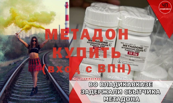 ГАЛЛЮЦИНОГЕННЫЕ ГРИБЫ Осинники