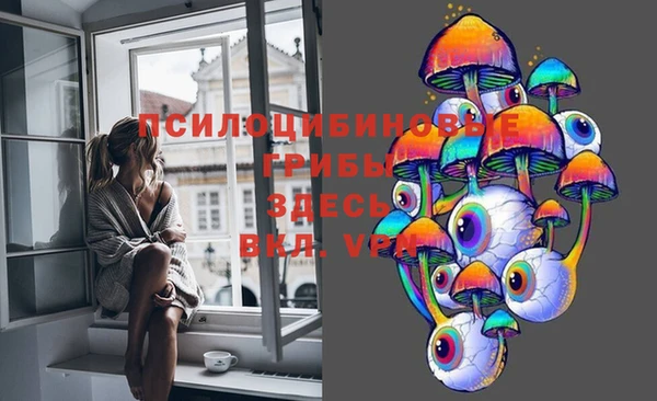 ГАЛЛЮЦИНОГЕННЫЕ ГРИБЫ Осинники