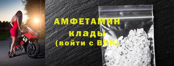 ГАЛЛЮЦИНОГЕННЫЕ ГРИБЫ Осинники