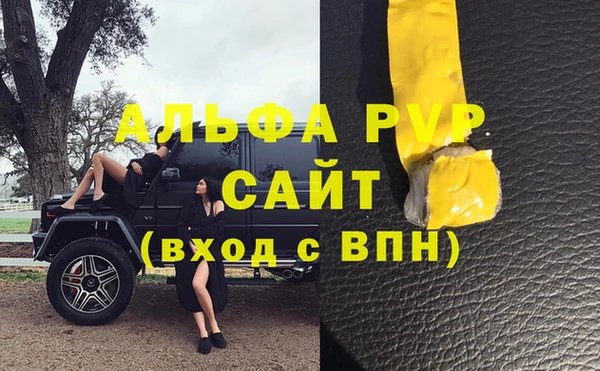 ГАЛЛЮЦИНОГЕННЫЕ ГРИБЫ Осинники