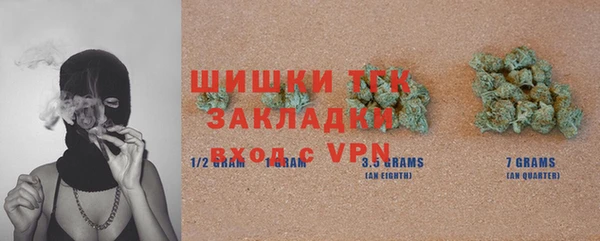 ГАЛЛЮЦИНОГЕННЫЕ ГРИБЫ Осинники