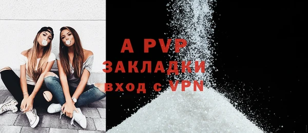 ГАЛЛЮЦИНОГЕННЫЕ ГРИБЫ Осинники