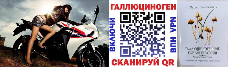 Псилоцибиновые грибы GOLDEN TEACHER  наркотики  omg зеркало  Зея 